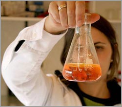 Khi nhà khoa học trẻ mắc bệnh...”ngôi sao”